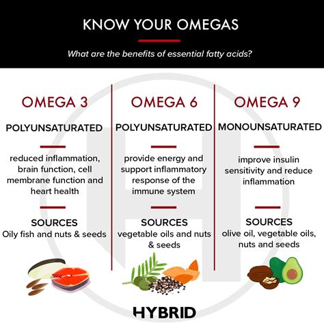 omega 3 similar|triple omega vs omega 3.